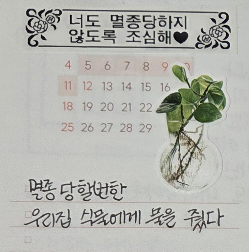 리락쿠마 라벨기 사고나서 제일먼저 한 다꾸