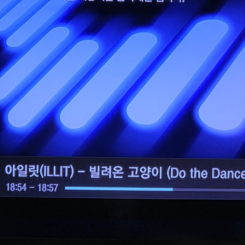 빌려간 고양이 돌려주세요