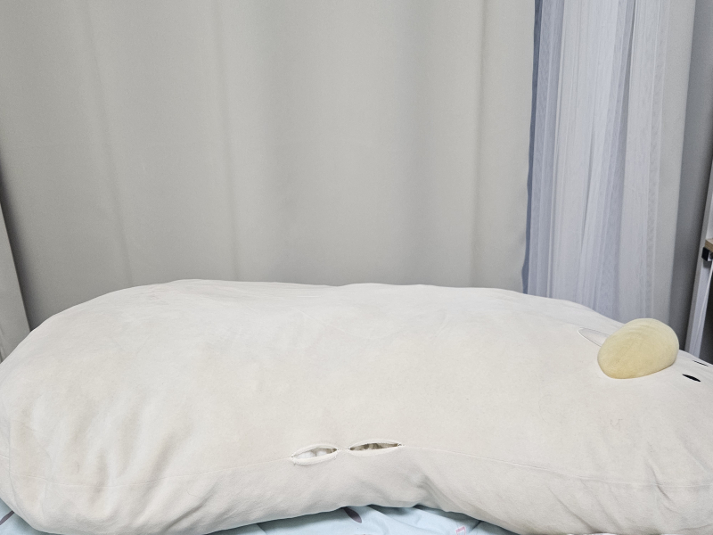 이거 범이가 맨날 올라가서 자던 바디필로우야 원래는 내가 베개로 쓰던 건데 지딴엔 저기가 자기 침대라 생각했는지 내가 머리를 대면 꼭 그위로 올
