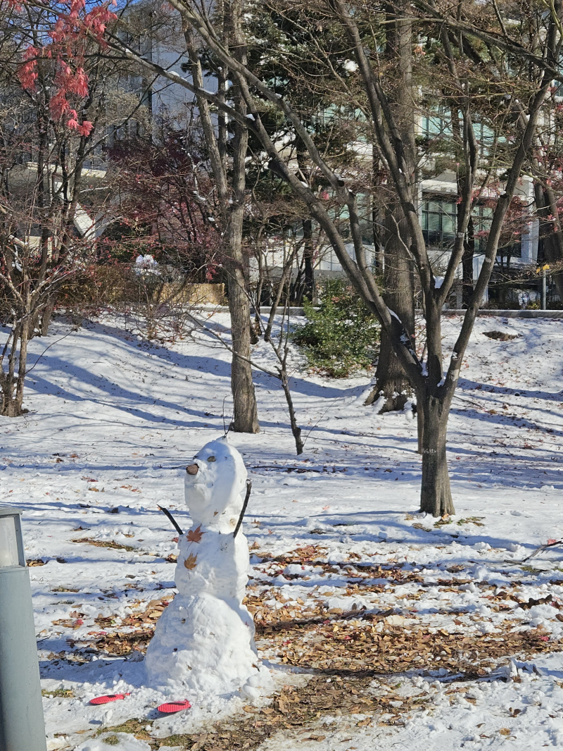 넘넘 귀여운 울학교 눈사람...눈동물들... 가나디도 있었구 완전 거대 눈사람까지 눈사람 축제였어