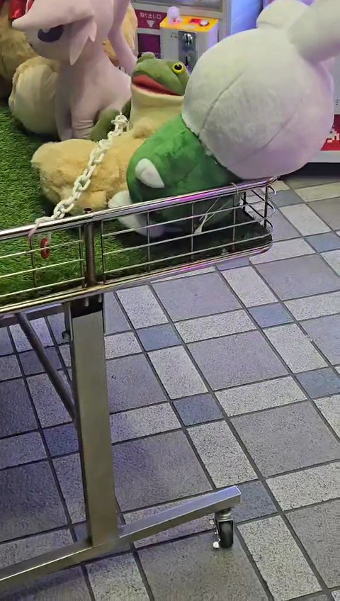 아!!!!!!!! 거의 1년만에 연락온 친구가 냅다 히로시마 근처 뽑기방에서 본거라며 개구리 인형 찍어줌 아!!! 탐나!!!!