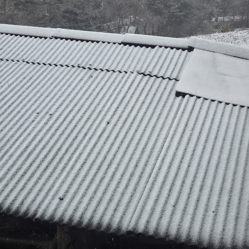 드디어 눈다운 눈이 온다!!!!!!! ❄️❄️❄️