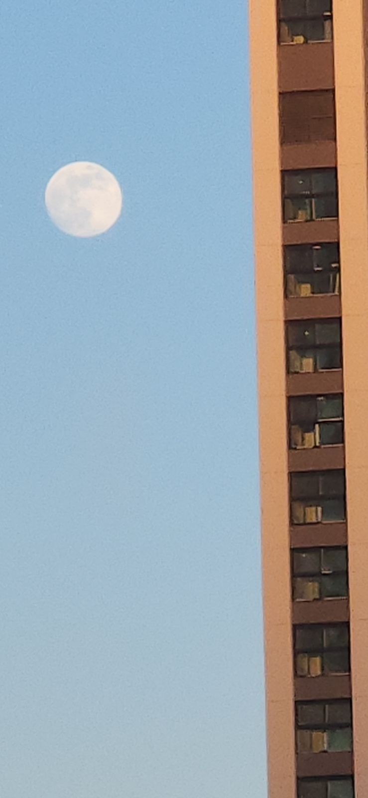 오늘은 이 시간에 일어났네 매일매일 낯선 시간에 일어난다..!! 남편핑 카톡으로 아아아아까 사진 보냈었는데 달사진이었다 왜 낭만적인데 좋긴 해