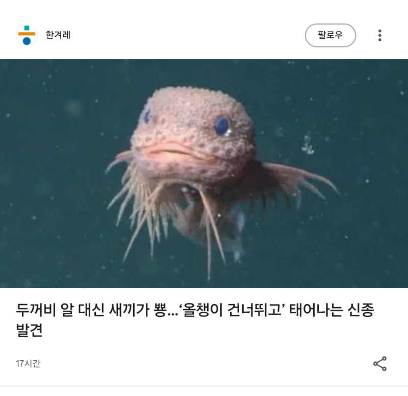 아니 무슨 추천 뉴스가 이런게 뜨지 개구리 두꺼비 너무 많이 봣나