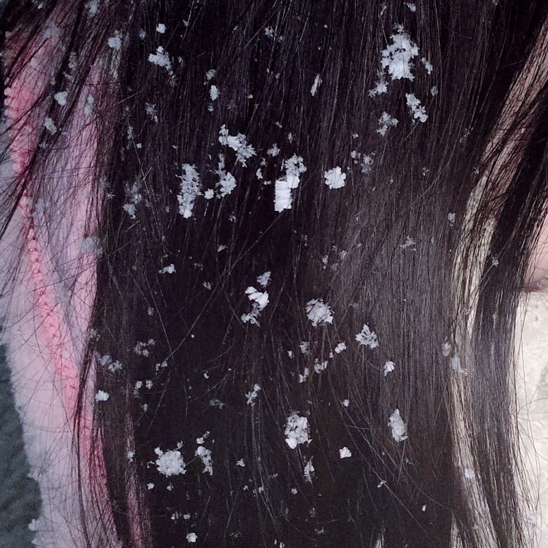 30분 넘게 놀고 왔다네요❄️🩵