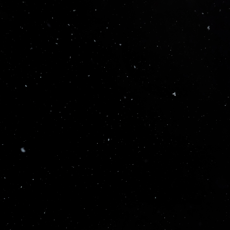 30분 넘게 놀고 왔다네요❄️🩵