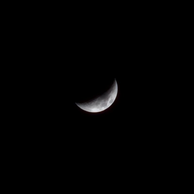 집 오는 길에 본 달🌙