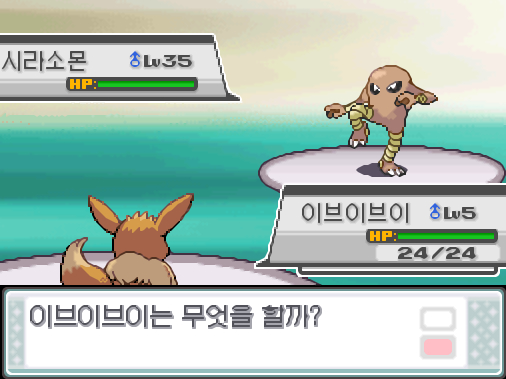 가랏! 이브이브이! 이브이브이는 무엇을 할까? >>22 싸운다: 웨더볼10/주술30/가시대표15 가방: 상처약2 포켓몬: Lv.46 라이츄/Lv