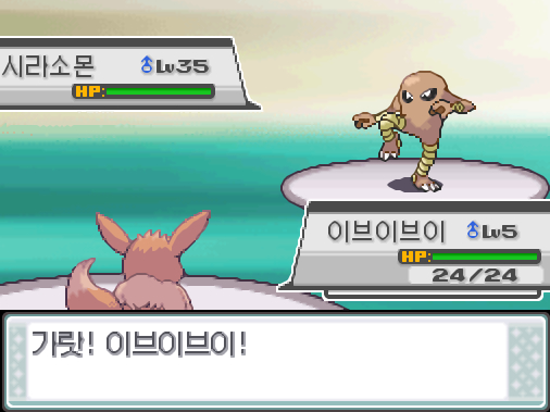 가랏! 이브이브이! 이브이브이는 무엇을 할까? >>22 싸운다: 웨더볼10/주술30/가시대표15 가방: 상처약2 포켓몬: Lv.46 라이츄/Lv