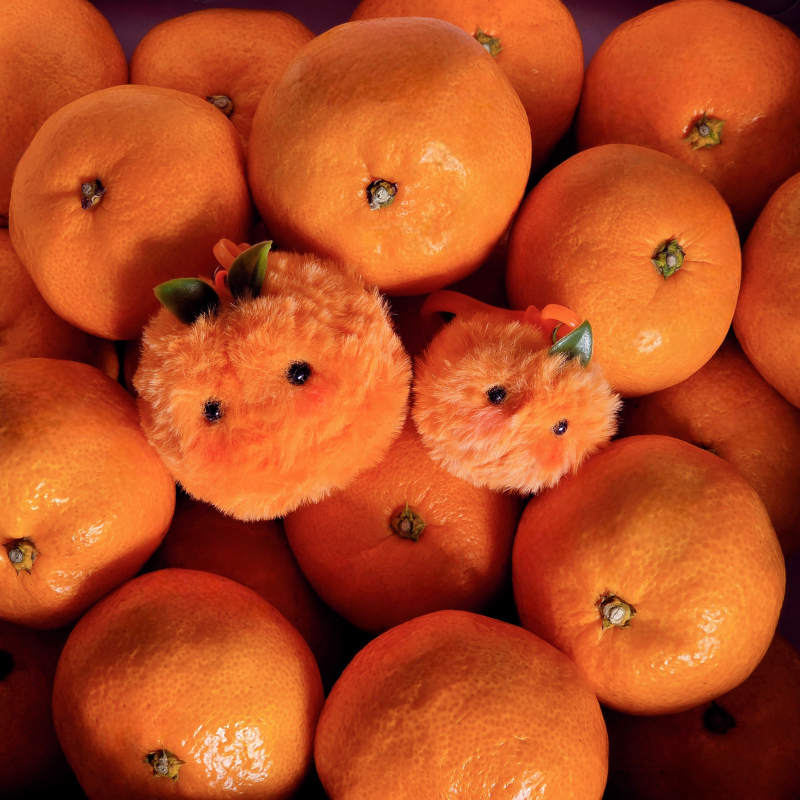 뀰🍊🧡아직은 향이 남아 있는데 많이 옅어져서 아쉽당..