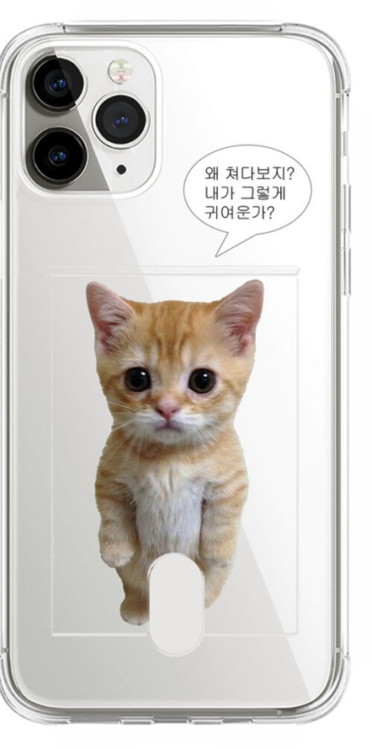 아빠 폰케이스가 너무 너덜거려서 새로 주문햇는데 이딴 거 삼 밈 케이스 끼고 다니는 50대 남자 < 진짜 개웃기네 ㅅㅂ