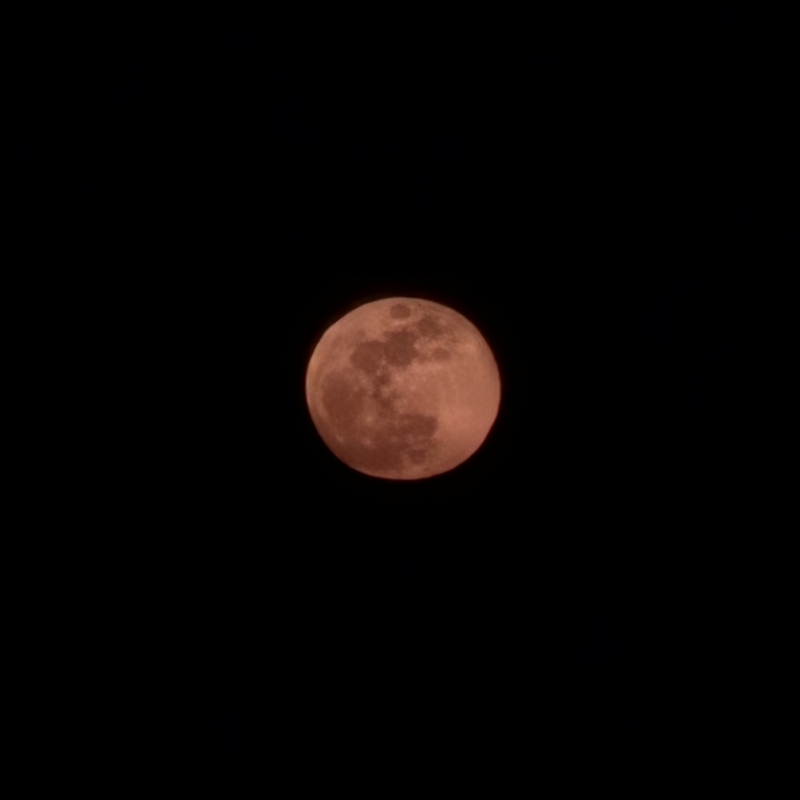 그리고 오늘 보름달!!🌕왜인지는 모르겠지만 낮고 크고 붉었당