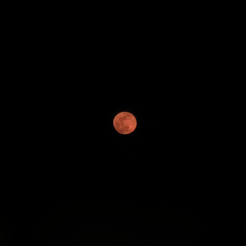 그리고 오늘 보름달!!🌕왜인지는 모르겠지만 낮고 크고 붉었당