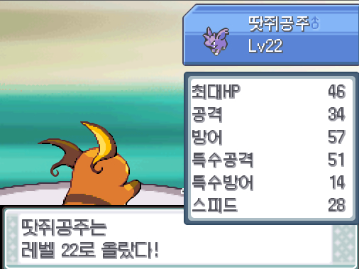 체육관 관장 사도는 고급 상처약을 썼다! 라이츄의 사이코키네시스! 효과가 굉장했다! 상대 시라소몬은 쓰러졌다! 땃쥐공주, 이브이브이, 라이츄는