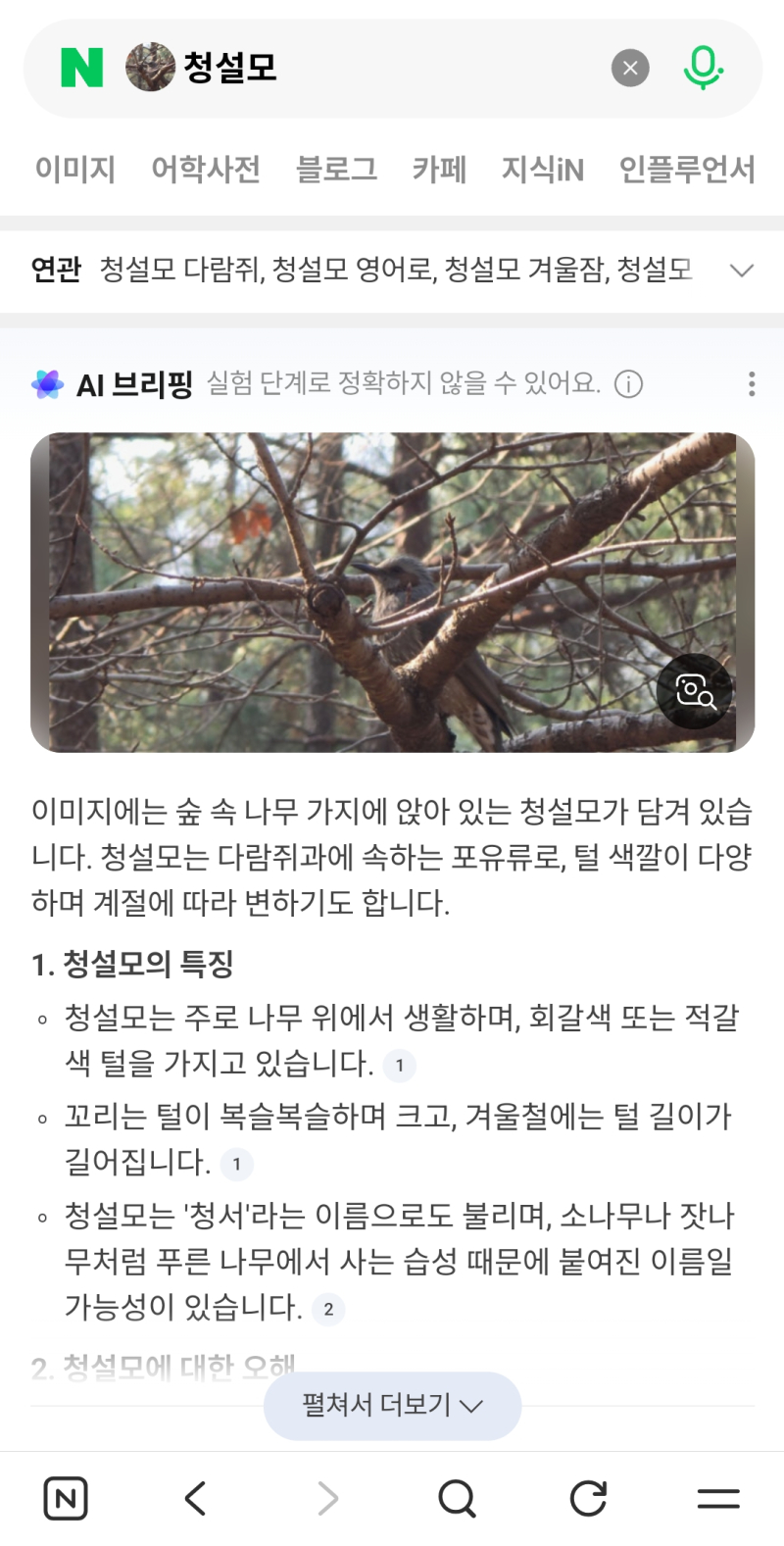 이지랄해서 몰랏는데 직박구리인가봐용