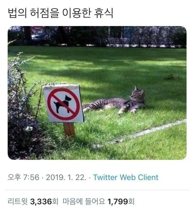 허점을 이용하자. 뭔가.... 그 사람들이 통제하지 않을 만한 것의 흉내를 내 보는 건 어떨까?