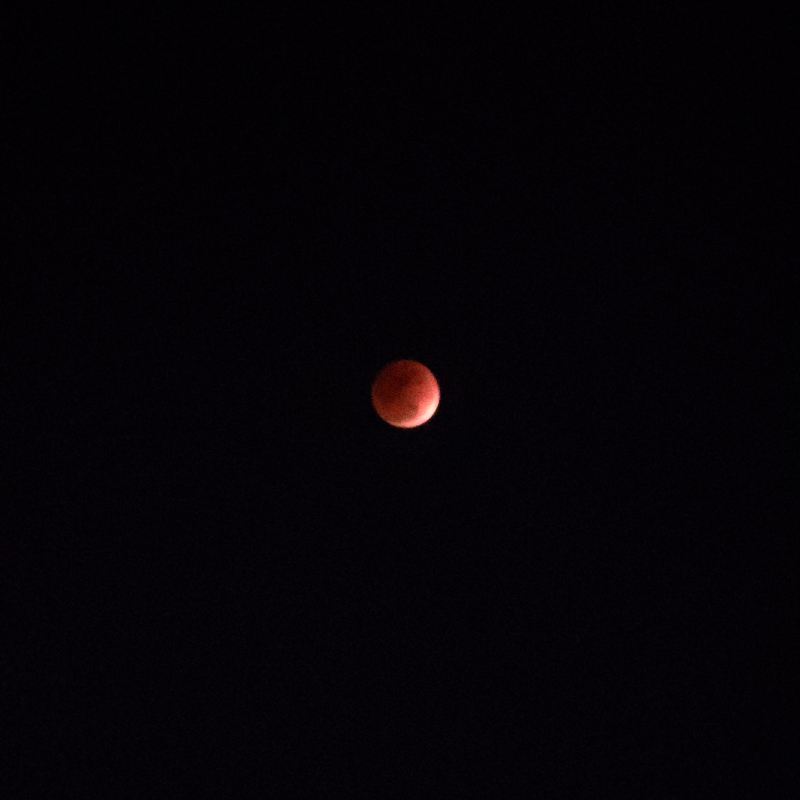블러드문🌕❤️