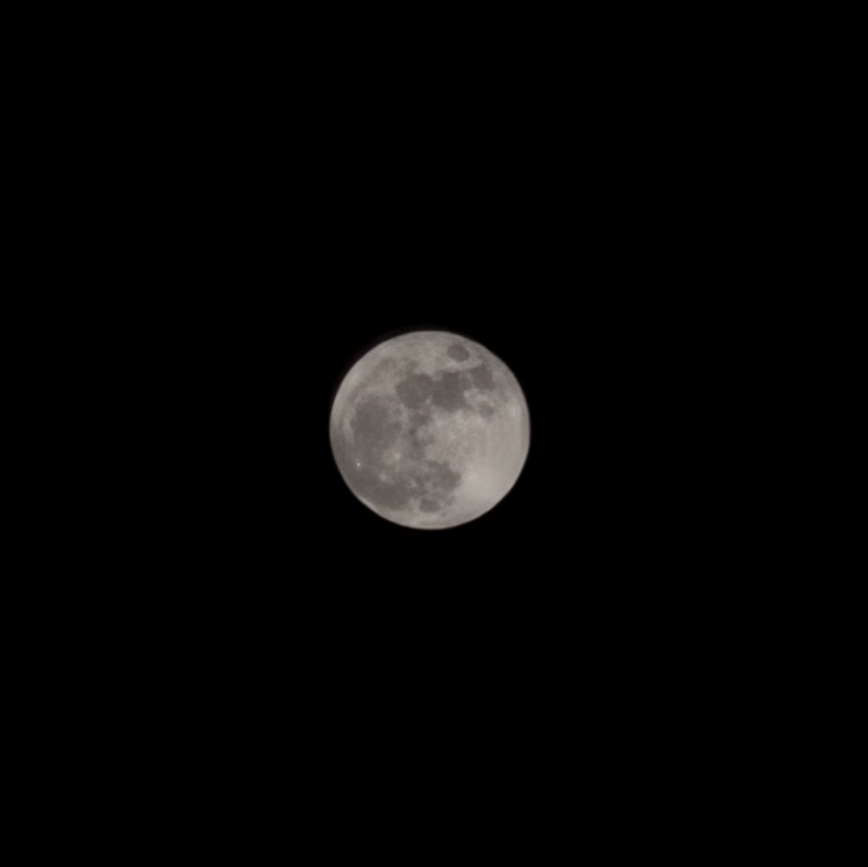 핑크문🌕🩷