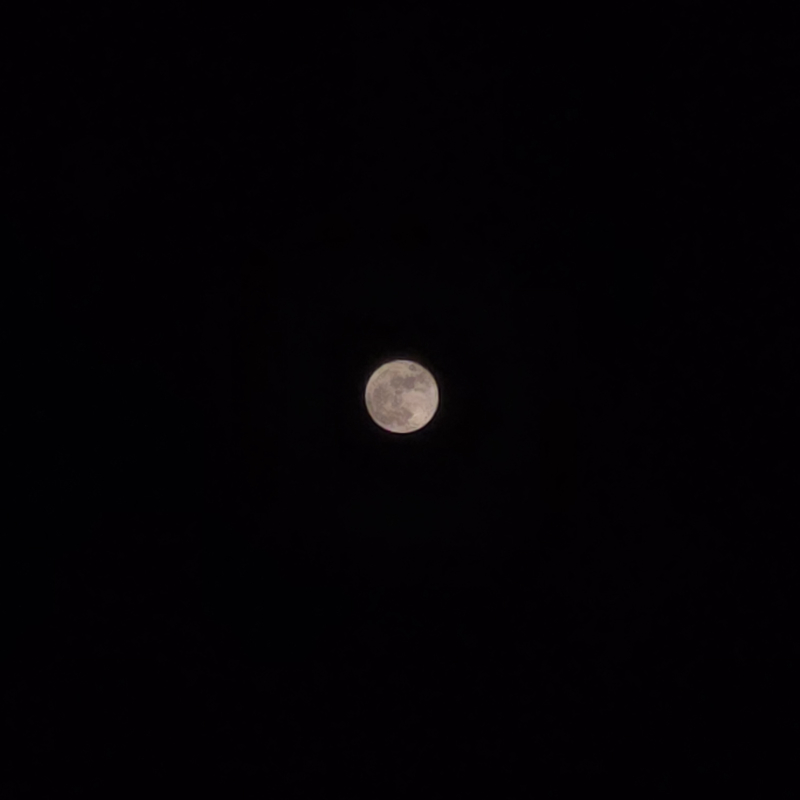 핑크문🌕🩷