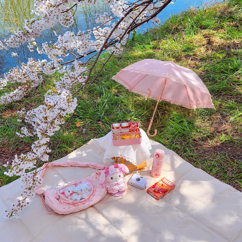 올해도 벚크닉🌸2시간 동안 만든 도시락🩷시간 없는 와중에 마들렌까지 굽굽함ㅋㅋㅋ +양산 가지고 오는 거 깜박해서 제미나이한테 만들어달라 했더니 