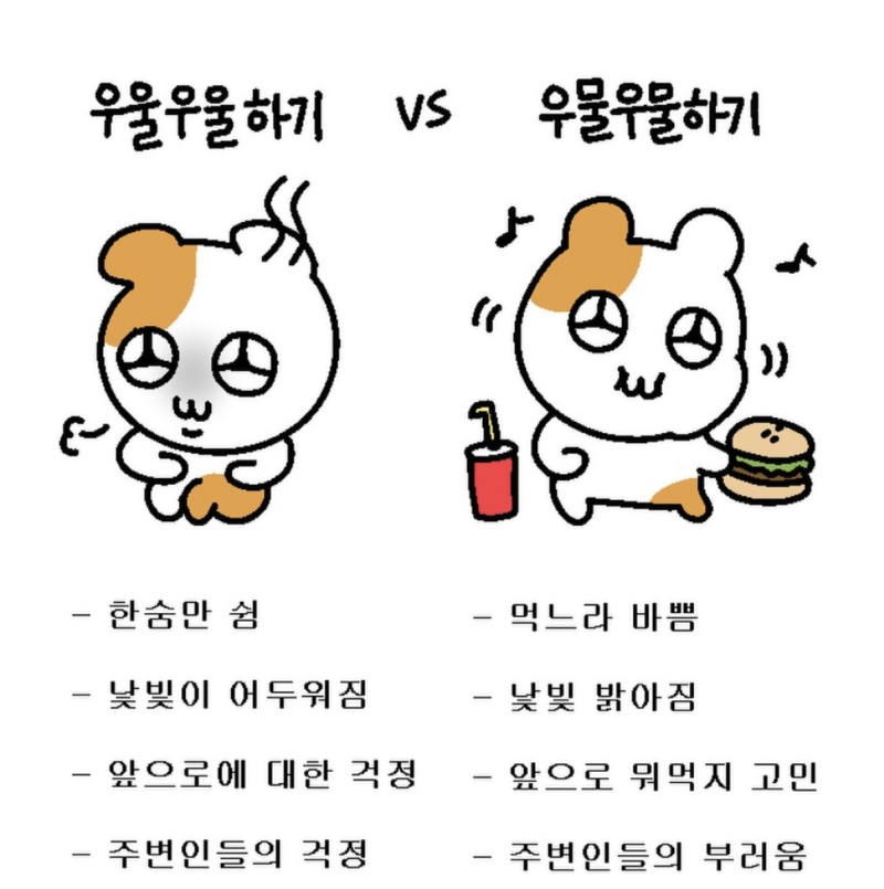 우물우물 해지고 싶사와용