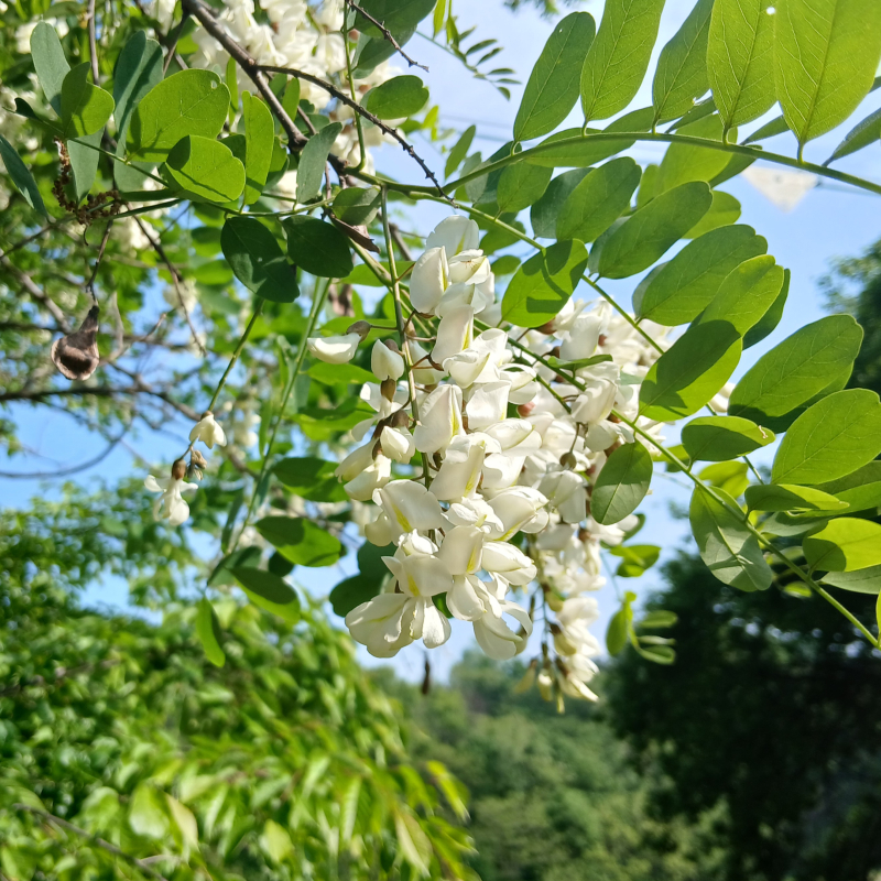 아무리 마음이 아파도 뒤돌아보지 마세요.