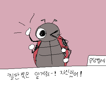 ⚊ 우리는 각자 역할을 분담해서 전부 다 하기로 했다. ▼ ◈ 현재 호감도【 ❤︎🐞 41(+5) ▕▏❤︎🐜 35(+5) ▕▏❤︎🦋 40(-5)
