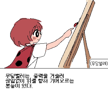 [무당벌레] 『자신을 주저앉히려는 세상의 압박에 굴복하지 않고』 [무당벌레] 『기어코 더 높은 곳으로 기어 올라가고야 말겠다는 의지가』 [무당벌