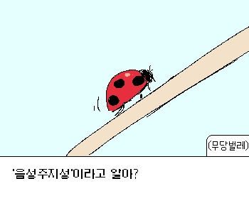 [무당벌레] 『자신을 주저앉히려는 세상의 압박에 굴복하지 않고』 [무당벌레] 『기어코 더 높은 곳으로 기어 올라가고야 말겠다는 의지가』 [무당벌