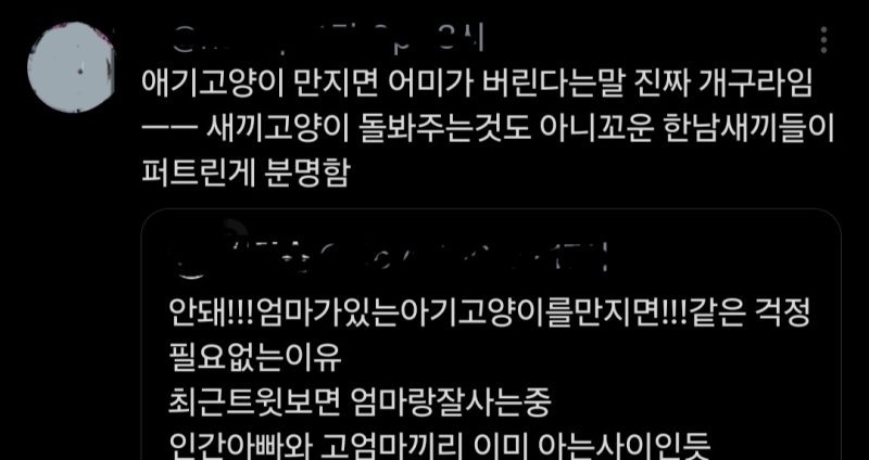 이정도 지능이여야 혐오하고 남탓하는거지ㅋㅋㅋㅋ 어디 고능한 자료가 아니라 유ㅌ브에 수의사 영상만 봐도 상태좋은 새끼냥이를 건들면 인간냄새나서 어