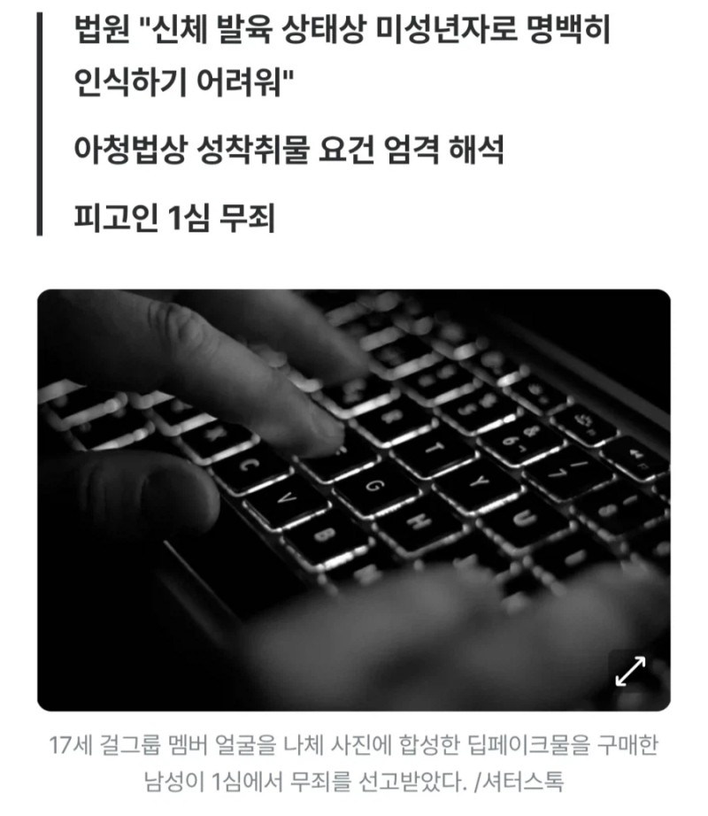 아니 이러면서 가상인물 야짤 그리는건 잡는다고??? 아니 보통 반대 아니야?? 저 연예인 엄청 억울하겠다