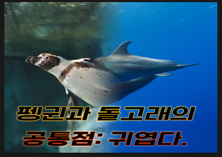 오늘 드뎌 합성하는 거 배웠다 ㅋㅋㅋㅋㅋㅋㅋㅋ넘모 재밌음ㅠㅠㅠ 대학교에서 배울 때 이래 쉽고 재밌게만 가르쳐줬어도 내 안 졸았을낀데ㅠㅠㅠ