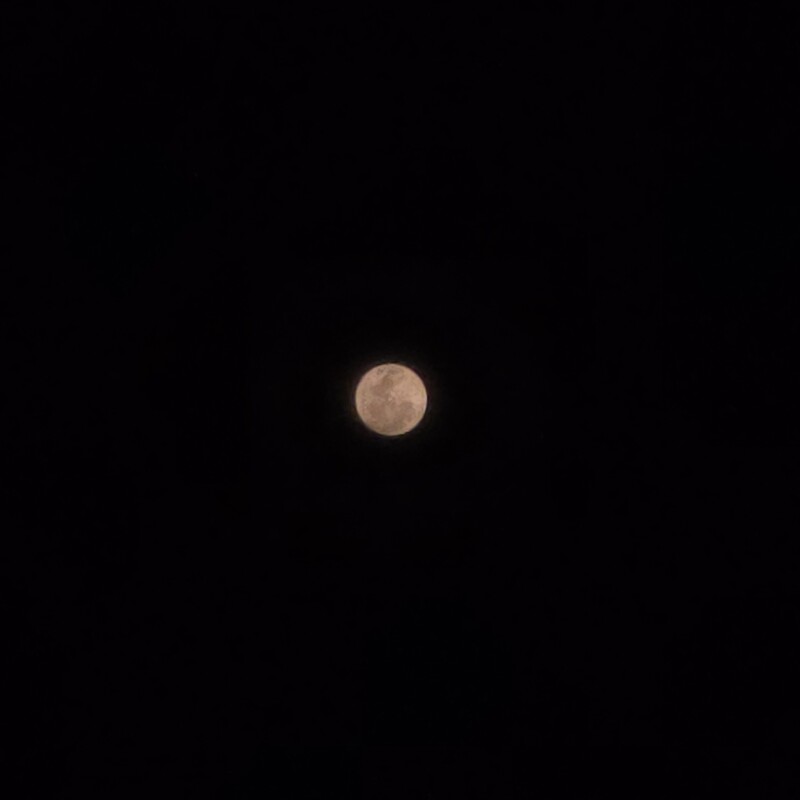 스트로베리문🍓🌕
