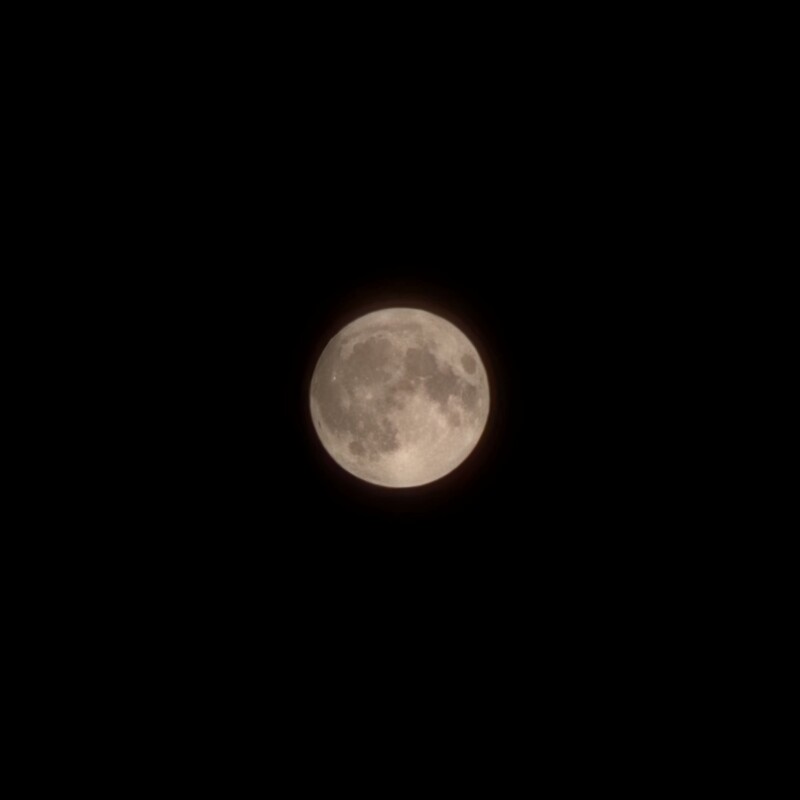 스트로베리문🍓🌕