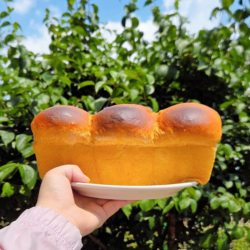 우유 식빵 완성🍞🩷