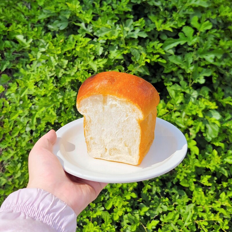 진짜 마싯는 우유 식빵맛🍞👍🏻🩷