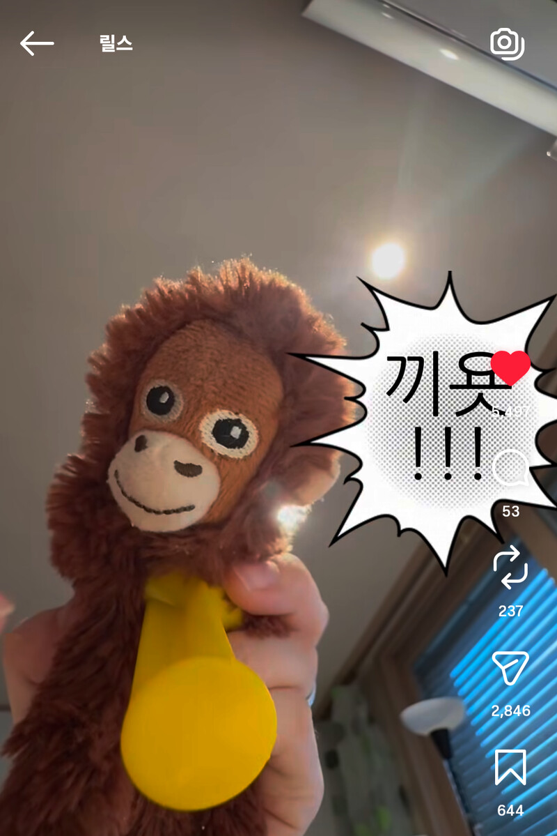 엄청 귀여운 릴스 봄 나도 숭이처럼 귀엽게 숨만 쉬고 잇고. 나두잘해 < 한마디로 모든 걸 다 할 수 잇다면 가와이다케쟈 다메데스까