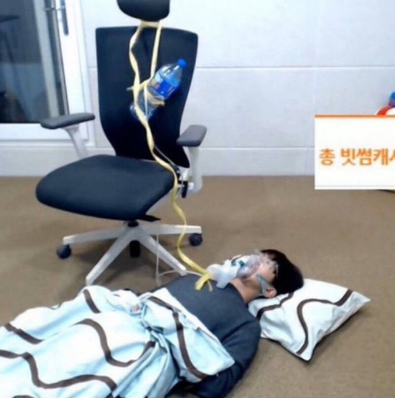 영애의 아침
