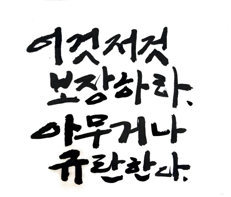 직이네~~ 바로 시위대 나가야겠다 ㅋㅋㅋ 오이쉬 도 맘에 듦. 호방한 기색이 있기 때무네.