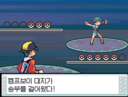43번 도로에서 트레이너와 배틀할 수 있는 횟수: 최대 1회/현재 0회 (특별한 트레이너 제외) 43번 도로에서 포켓몬과 만날 수 있는 횟수: