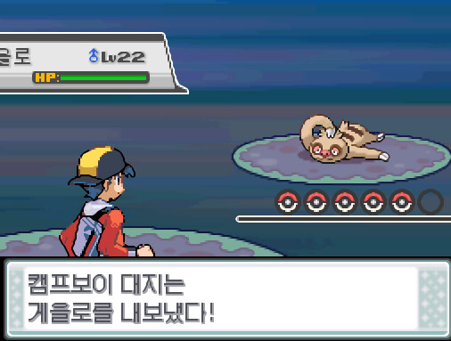 43번 도로에서 트레이너와 배틀할 수 있는 횟수: 최대 1회/현재 0회 (특별한 트레이너 제외) 43번 도로에서 포켓몬과 만날 수 있는 횟수: