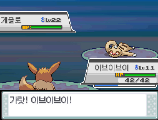 43번 도로에서 트레이너와 배틀할 수 있는 횟수: 최대 1회/현재 0회 (특별한 트레이너 제외) 43번 도로에서 포켓몬과 만날 수 있는 횟수: