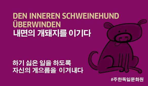 수영 가기 싫다.... 그치만 가야겠지? 내면의 개돼지를 이겨야 되겠지??