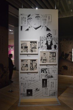 사진은 구글에서 퍼온 거고, 옛날에 악어 작가가 원화전 연건데 시노부 존엔 도우마로 도우마 존에는 시노부로 도배되어 있음. 사진이 흐릿해서 잘