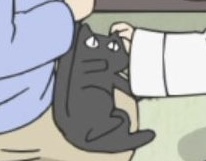 바보