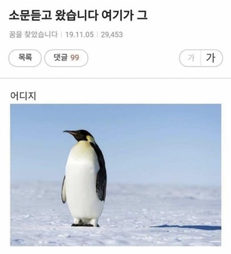 스레주 이거같아