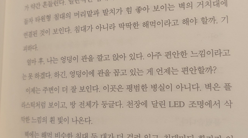 아니 웹소도 아니고 나름 유명 작가의 책인데 번역할 맞춤법 검사 했나 '꽂'이 아니라 '꼽'이라고 쓰는거임 주인공 사투리 쓰는 것도 아닌데 벌써 페이지에서 하나 페이지에서 하나