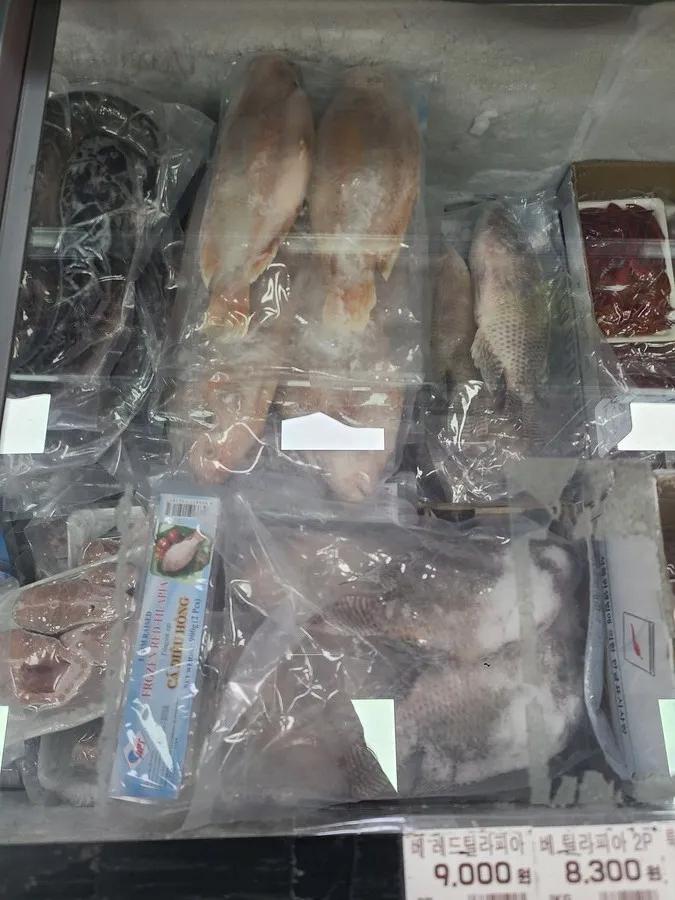 다문화가정이 아니라 외노자들때문에 이런거면 이해함 그리고 솔직히 다문화가정이라도 김치 불고기 불닭볶음면 이런거 좋아하고 케이팝 좋아하고 한국 게임 민속놀이 좋아하고 자기들이랑