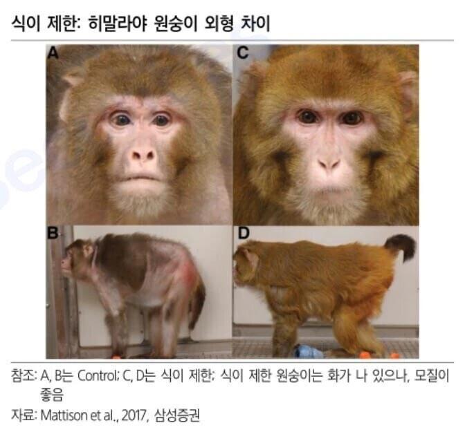 귀엽고 웃기지만 웃다 보니 웃을 때가 아닌 그냥 행복하고 머리털 푸석할래 실험 대상인 원숭이들이 사람으로 따지면 정도였다던데 왼쪽 원숭이 진짜 인자하고 온화하게 곱게 늙으신