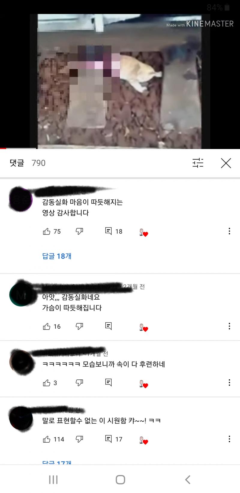 고양이를 물론 싫어하거나 무서워할 있음 지금은 고양이 좋아하는데 예전에는 내가 새를 좋아하다 보니까 고양이들이 새들 많이 죽이는 알고 조금 싫어했었어 발정기 울음소리 등등 길냥이